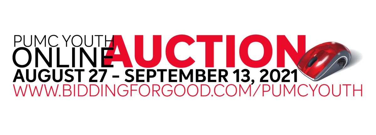 The PUMC Youth Auction needs you! – Plainfield UMC Today